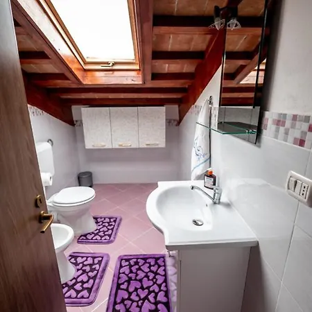 Guest house Casa De Vacanta S&b